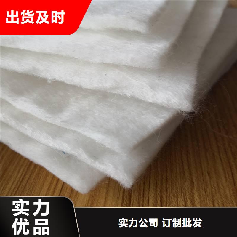 同城(亿路通)土工布-三维水土保护毯优质材料厂家直销