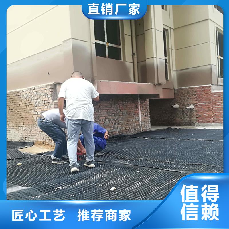 塑料排水板_三维土工网垫国标检测放心购买