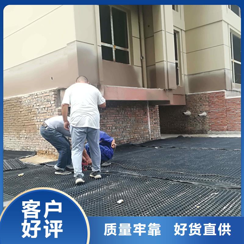 工厂批发【亿路通】塑料排水板三维水土保护毯常年出售