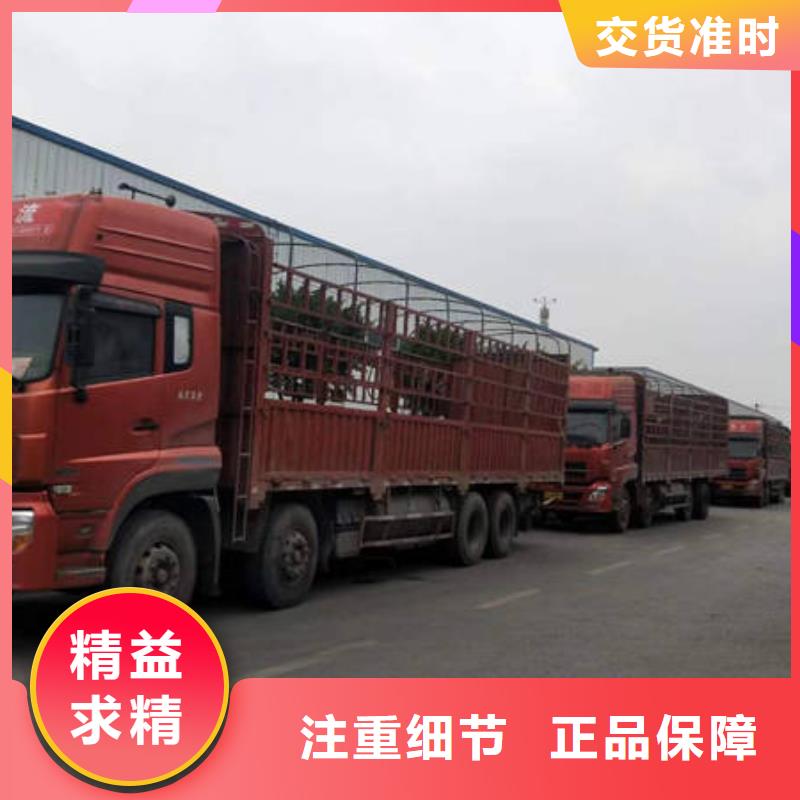 【海东】诚信到重庆返程货车整车运输-销售价-2023已更新今日/消息