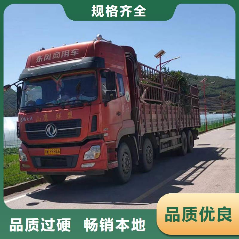 乐东县到重庆返空货车整车运输公司2天快速到达