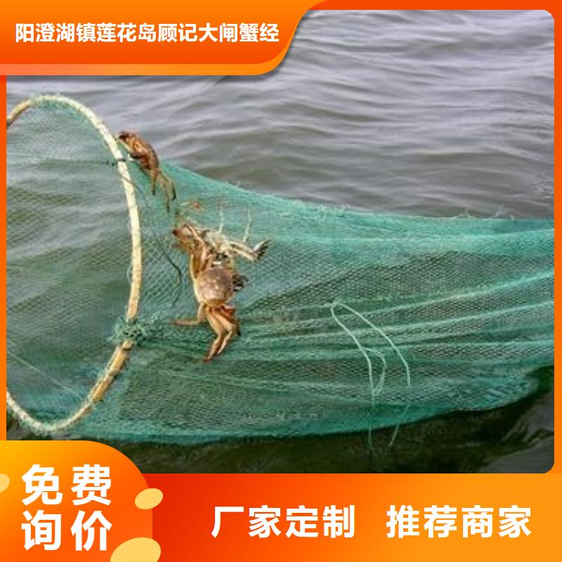 乐东县今天的螃蟹专卖