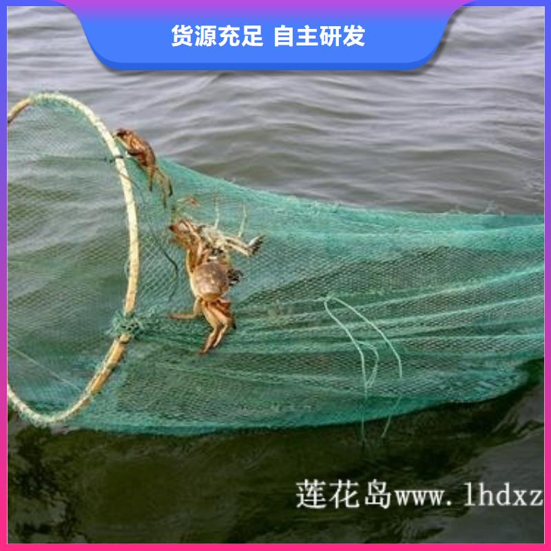 苏州阳澄湖买大闸蟹多少钱一斤