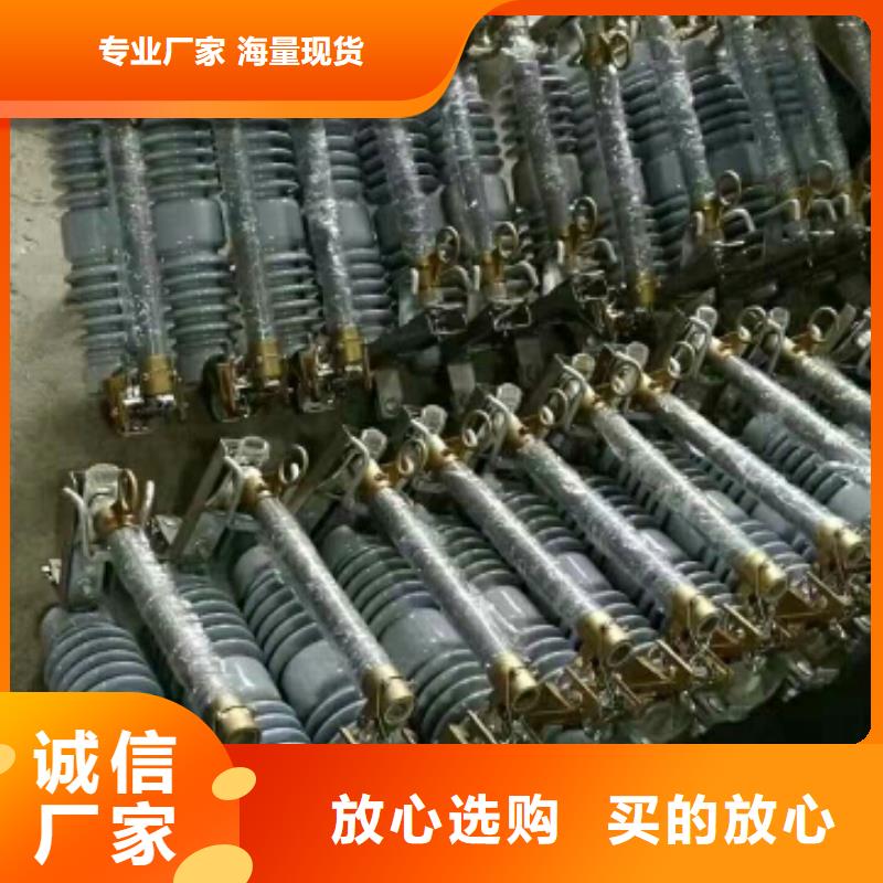 高压熔断器/FSC-10KV/100-12.5【浙江羿振电气有限公司】