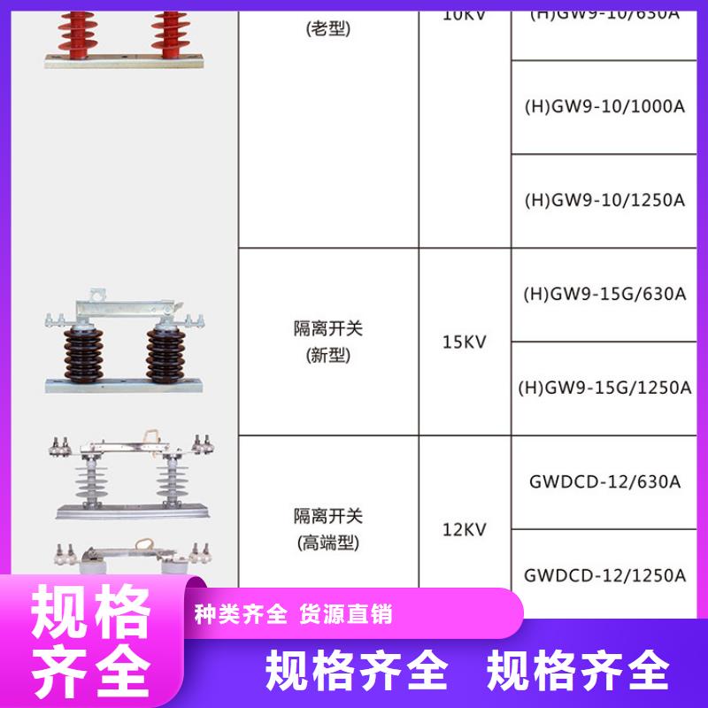品牌【羿振电气】GHW9-10/630A隔离刀闸生产厂家