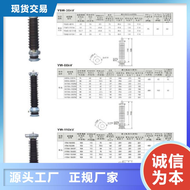 【金属氧化物避雷器YHSWS-17/50】上海羿振电力设备有限公司