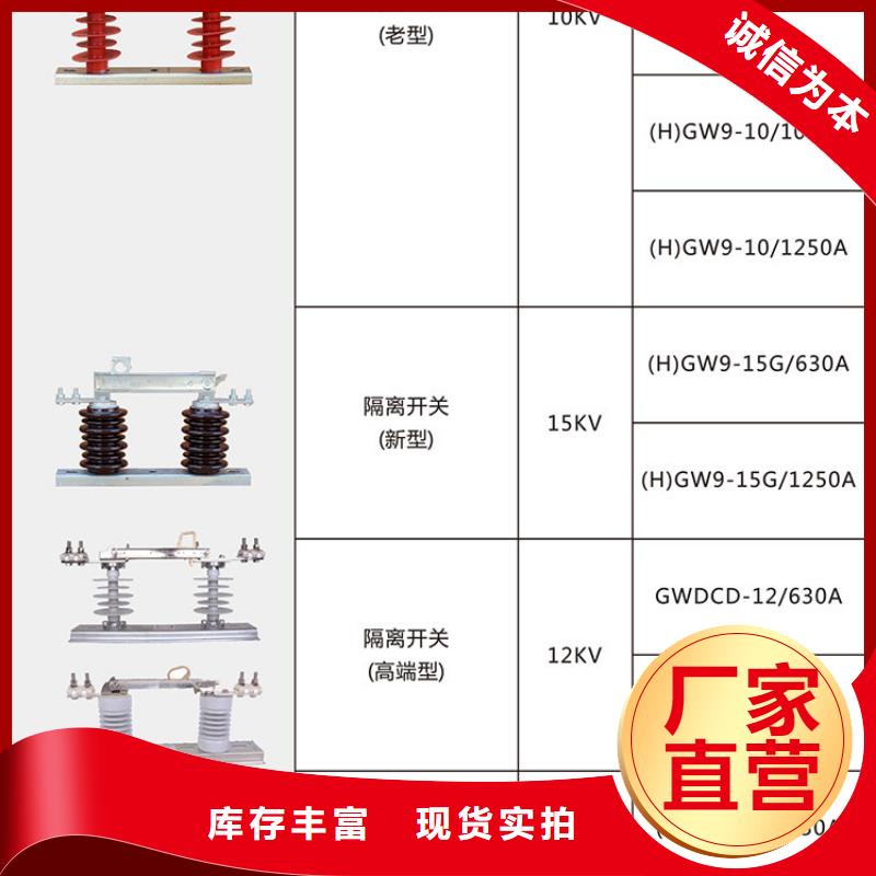 品牌：【羿振电气】HGW9-10KV/1250A高压隔离开关生产厂家