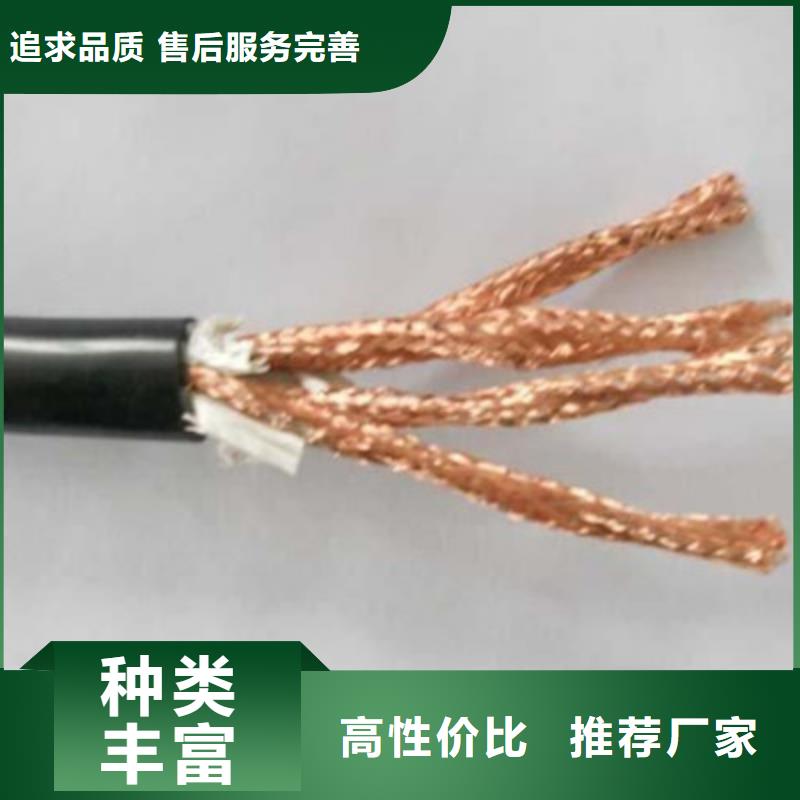 耐火计算机电缆NH-DJYJP3VP3-223X2.5