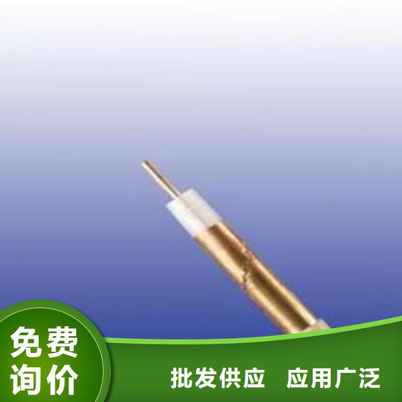 传输信号射频电缆SYV、传输信号射频电缆SYV厂家-找天津市电缆总厂第一分厂