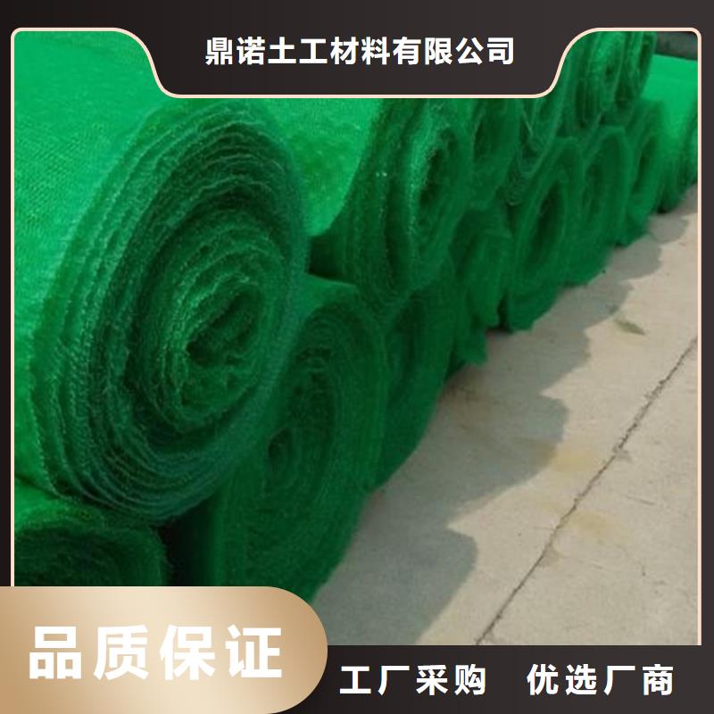 绿化EM5三维固土网垫