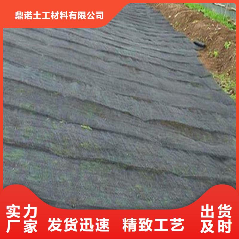 山东厂家工艺先进[鼎诺]生态柔性水土保护毯厂家资讯
