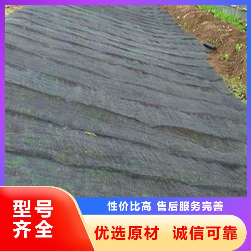 山东长期供应【鼎诺】水土保护毯三维防侵蚀河道护坡