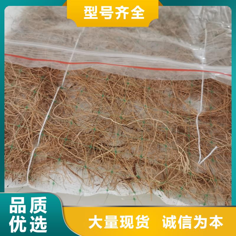 山东联系厂家[鼎诺]加筋抗冲生态毯稻草植生毯