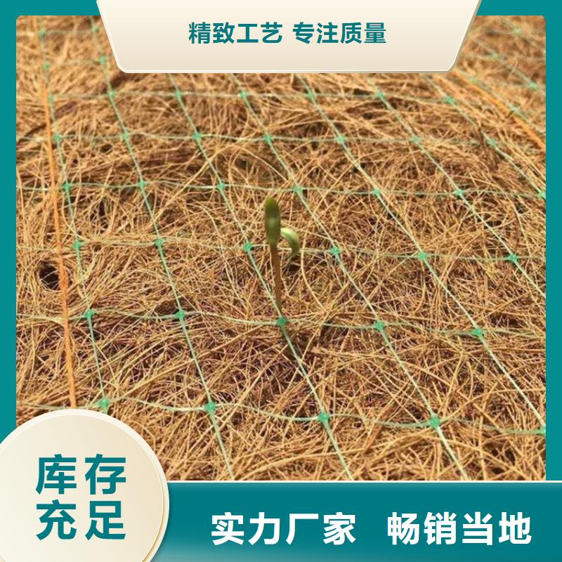 山东联系厂家[鼎诺]加筋抗冲生态毯稻草植生毯