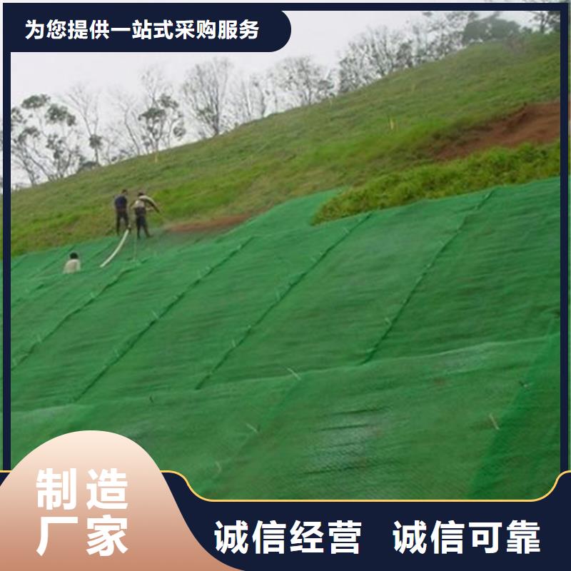 环保边坡三维土工网垫