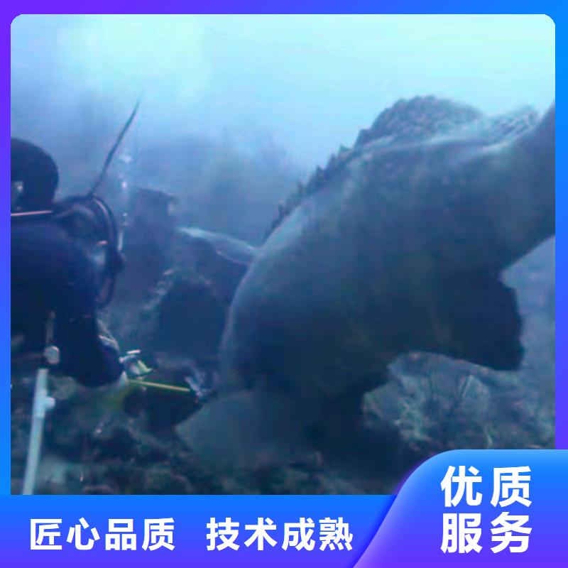 台州咨询浪淘沙潜水公司水下作业水下管道气囊安装公司#
