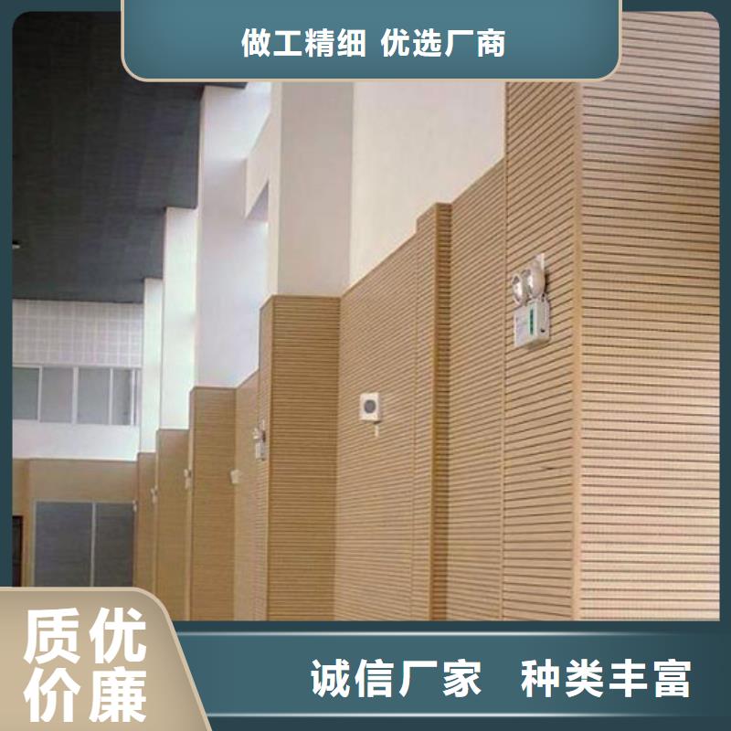 广东省长期供应凯音篮球馆体育馆声学改造公司--2024最近方案/价格