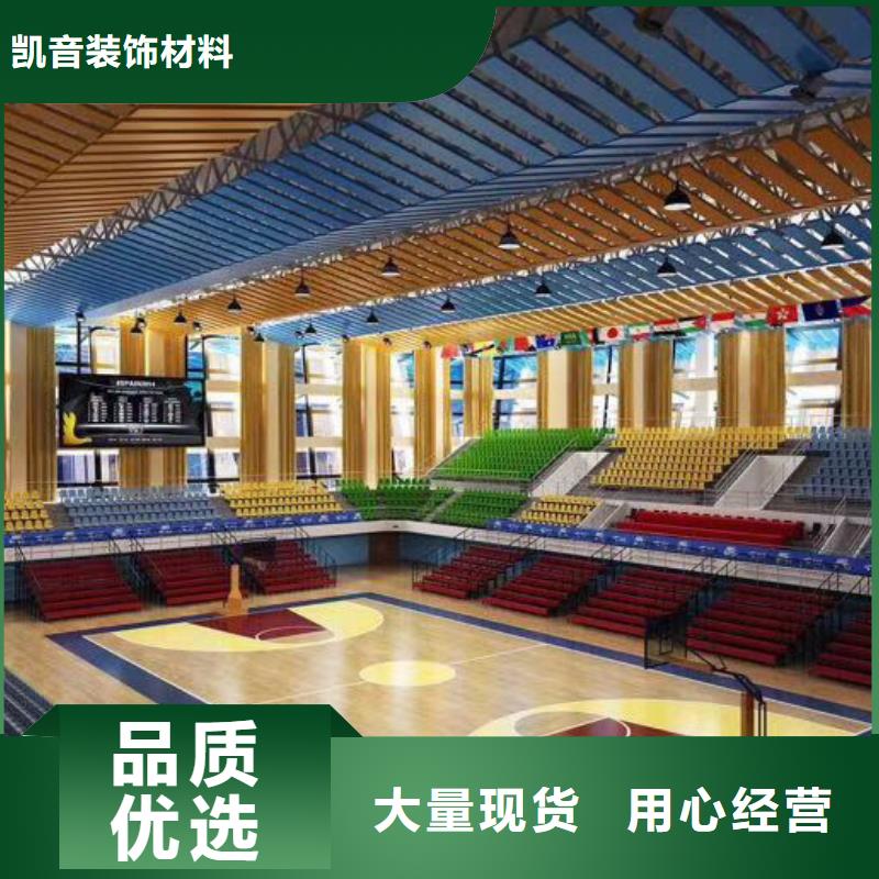 《凯音》广东省深圳市平湖街道体育馆声学提升改造方案--2024最近方案/价格