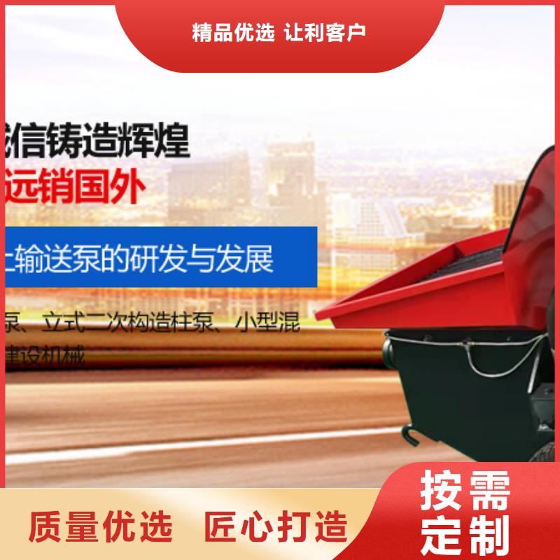 桂林选购市晓科二次构造柱泵厂家