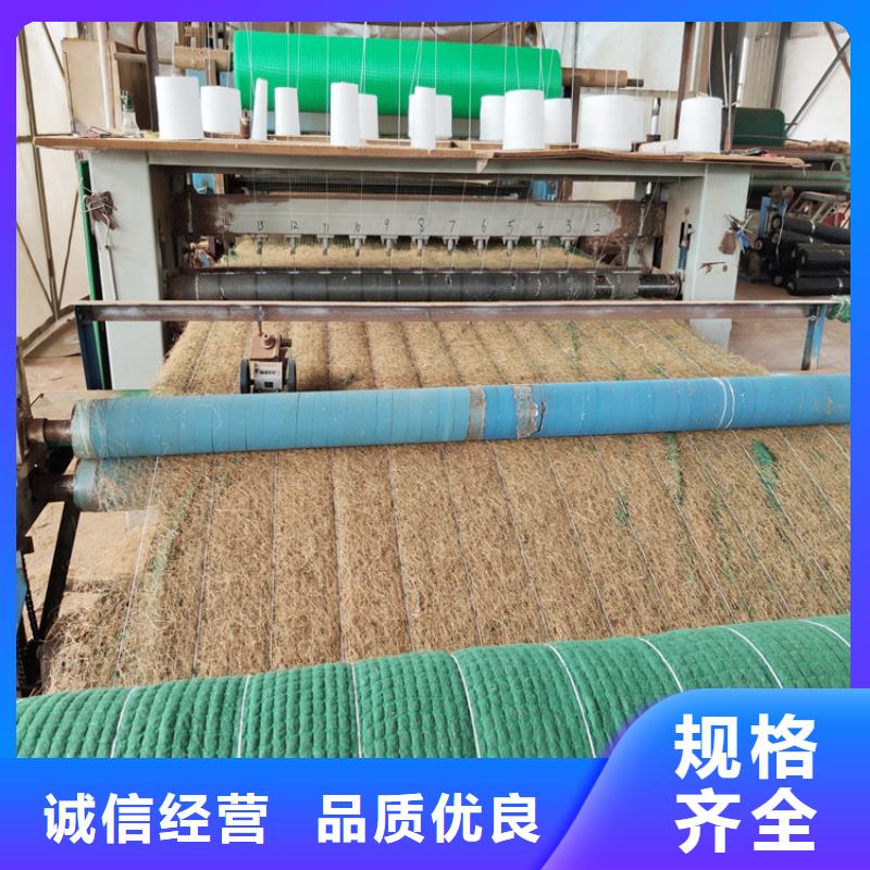 徐州直销生态环保草毯厂家-办事处