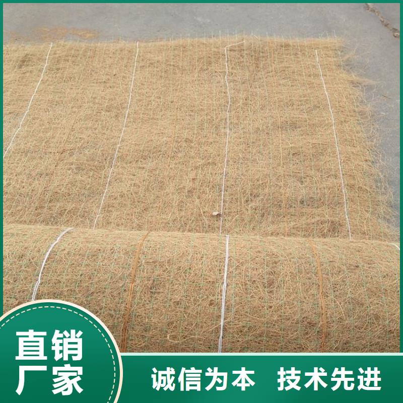 朔州诚信护坡植被植草毯-加筋抗冲生态毯现货供应