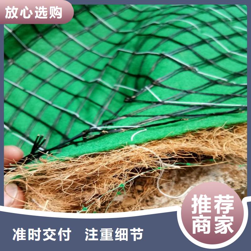 朔州诚信护坡植被植草毯-加筋抗冲生态毯现货供应