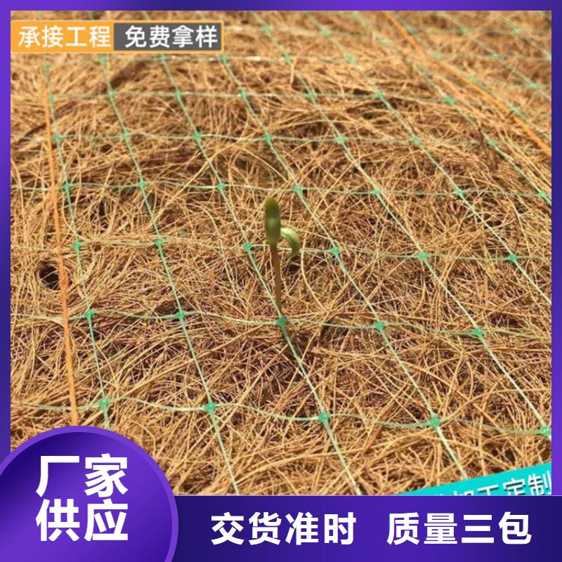 徐州找护坡植被植草毯源头好货