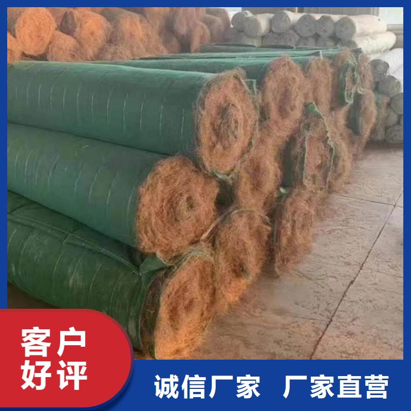 徐州咨询植物纤维毯-抗冲绿化毯-植生椰垫