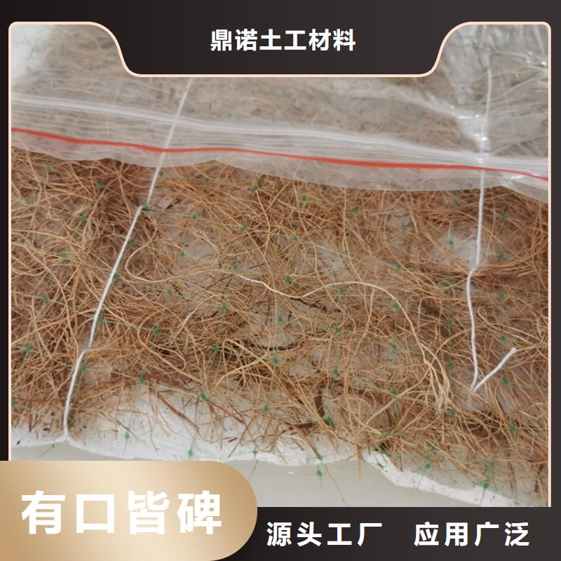 同行低价【鼎诺】生态环保草毯加筋抗冲生物毯厂家-代理