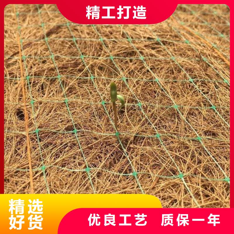 采购【鼎诺】抗冲生物毯-椰丝环保草毯-纤维植生毯