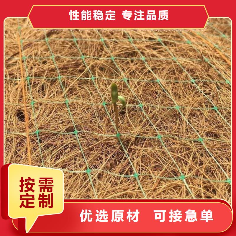 同行低价【鼎诺】生态环保草毯加筋抗冲生物毯厂家-代理