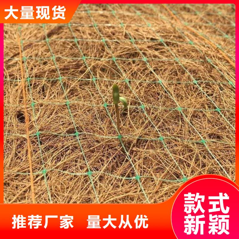 当地[鼎诺]椰丝植物纤维毯-护坡生态毯-草种抗冲生物毯