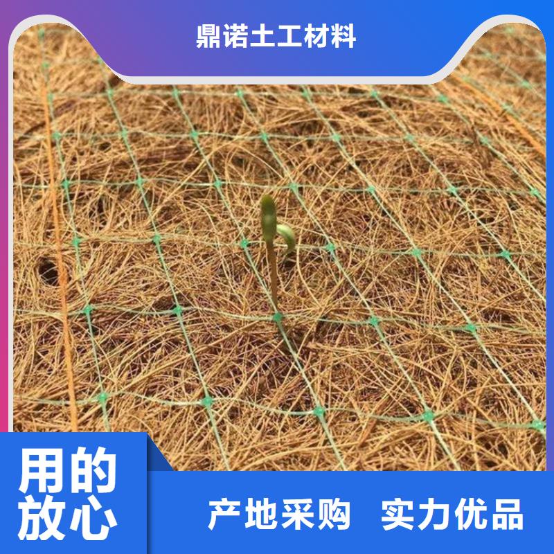 定制【鼎诺】生态环保草毯-植生椰丝毯施工节约