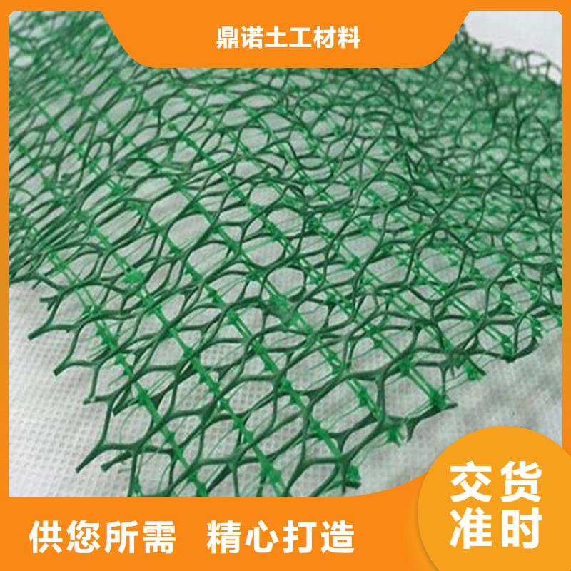 选择我们没错【鼎诺】三维植被网-三维加筋网垫