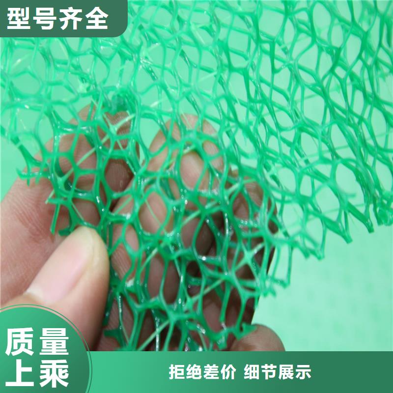 品质卓越(鼎诺)三维土工网垫-EM3三维植被网