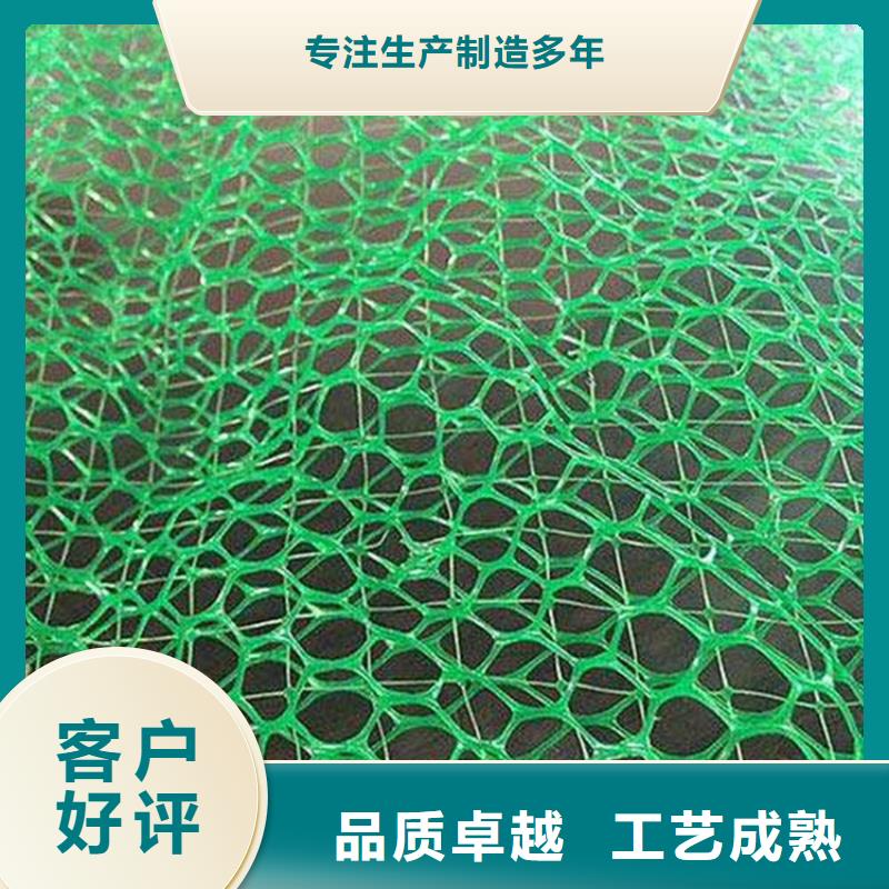 三维土工网垫-EM3三维固土网垫