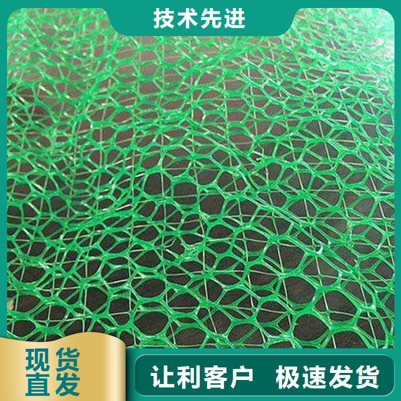 三维植被网HDPE土工膜出货快