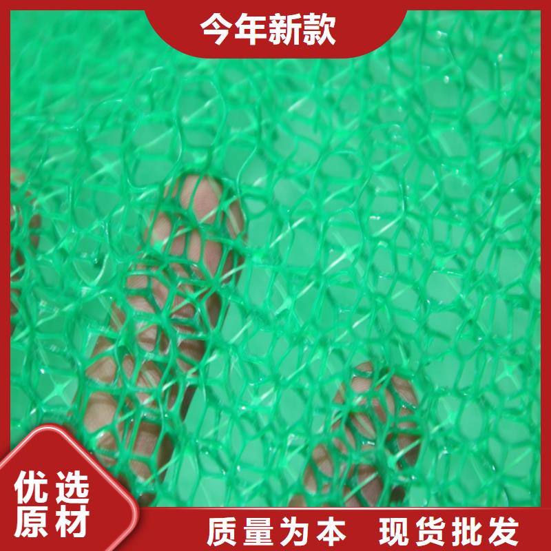 定制(鼎诺)三维固土网垫EM5三维加筋网垫
