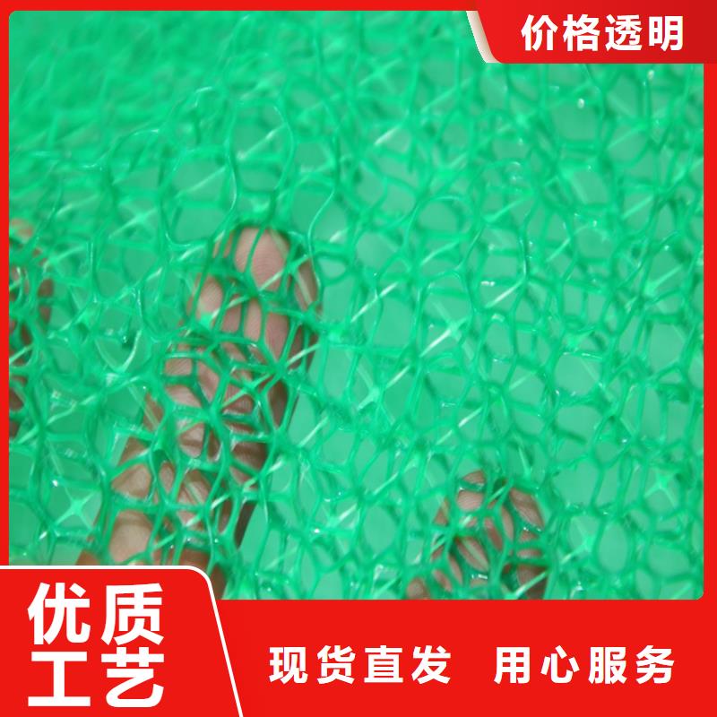 品质卓越(鼎诺)三维土工网垫-EM3三维植被网