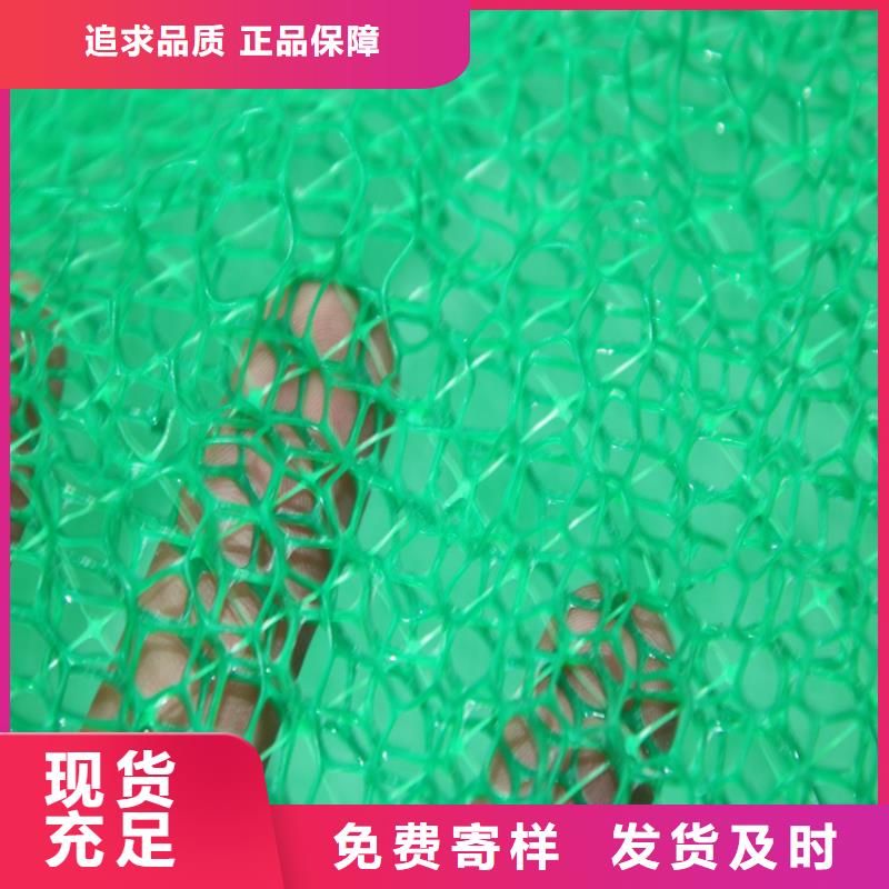三维植草网垫EM5塑料