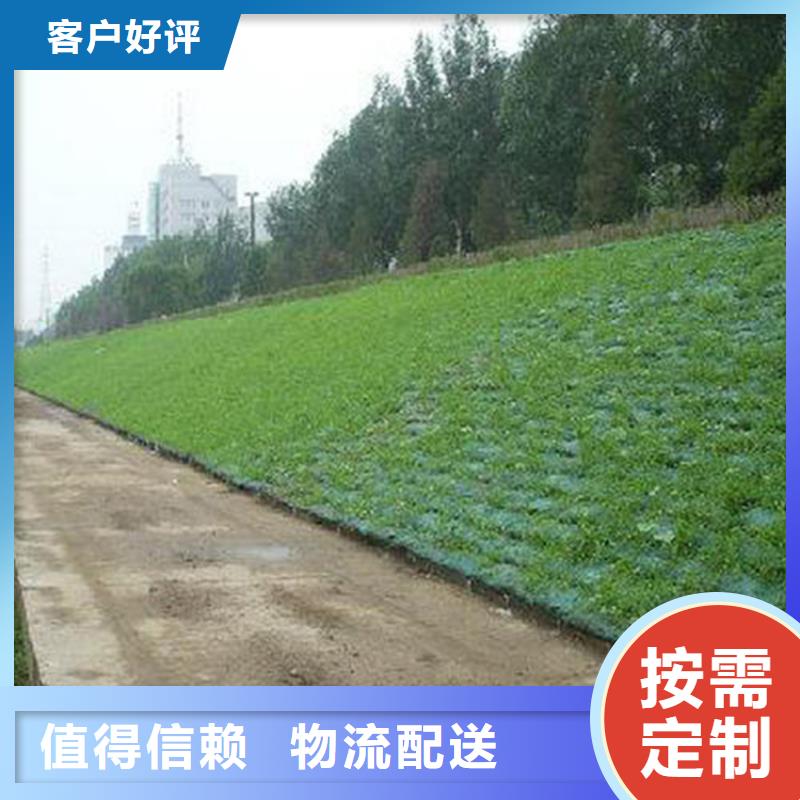 低价货源(中齐)绿化EM4三维土工网垫