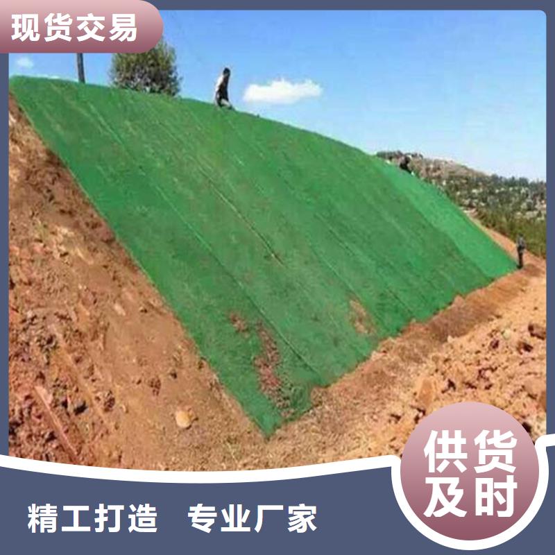 低价货源(中齐)绿化EM4三维土工网垫