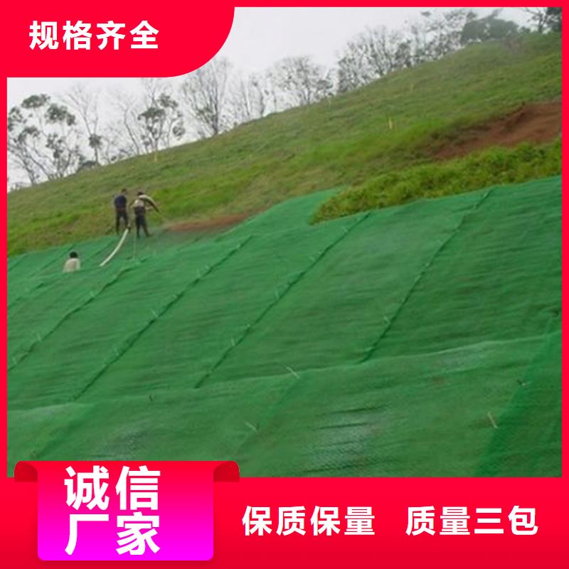诚信厂家【中齐】三维植草护坡网垫-三维植被网