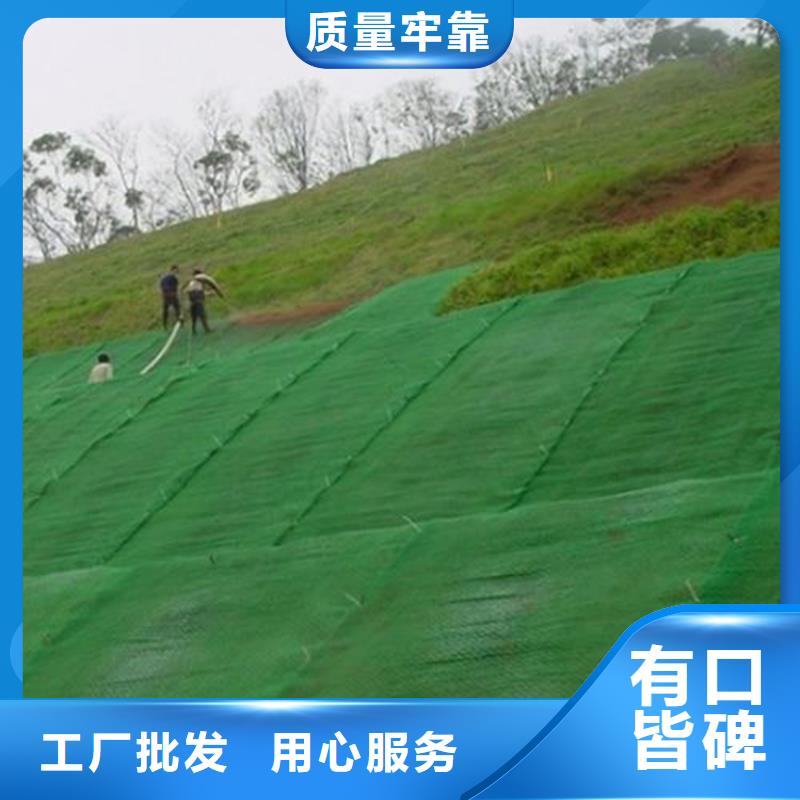 大厂家实力看得见<中齐>绿化EM4三维土工网垫
