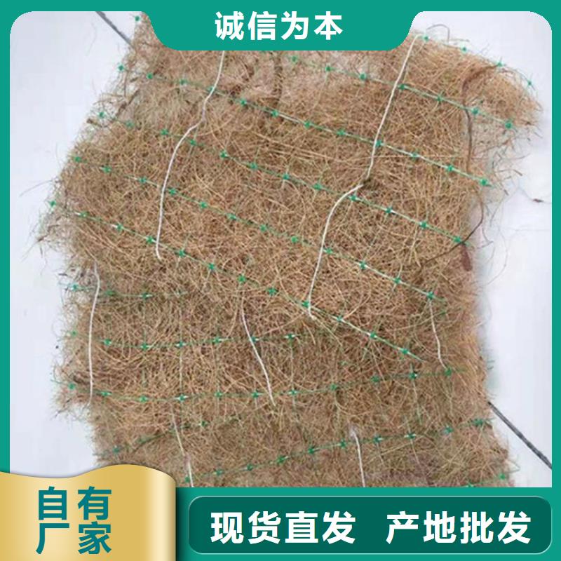甘孜现货护坡植物纤维毯-边坡植物纤维毯