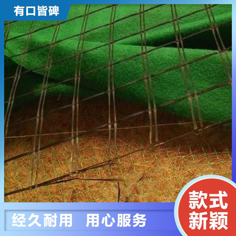 【甘孜】本地植生椰丝毯-加筋抗冲生物毯