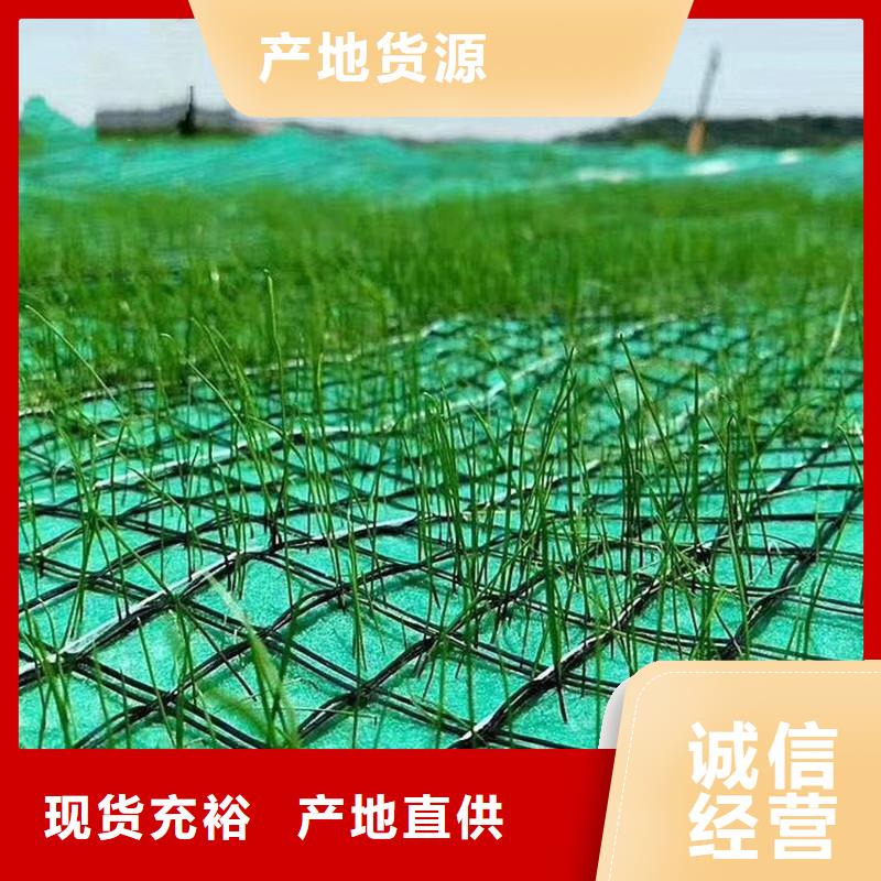 甘孜生产植生椰丝毯-椰纤植生毯 