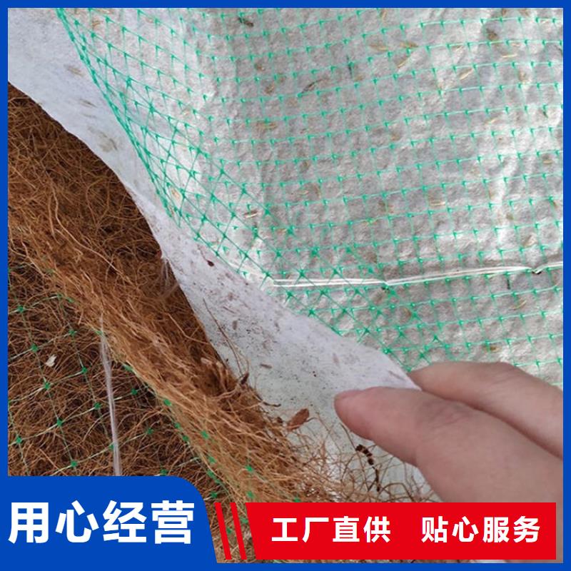 甘孜购买植物纤维毯-植物生态防护毯-稻草纤维毯
