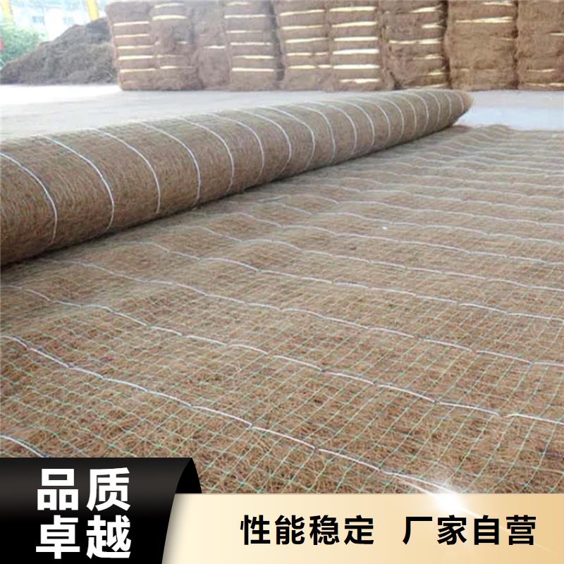 厂家实力大{中齐}植物生态防护毯-椰纤植生毯 