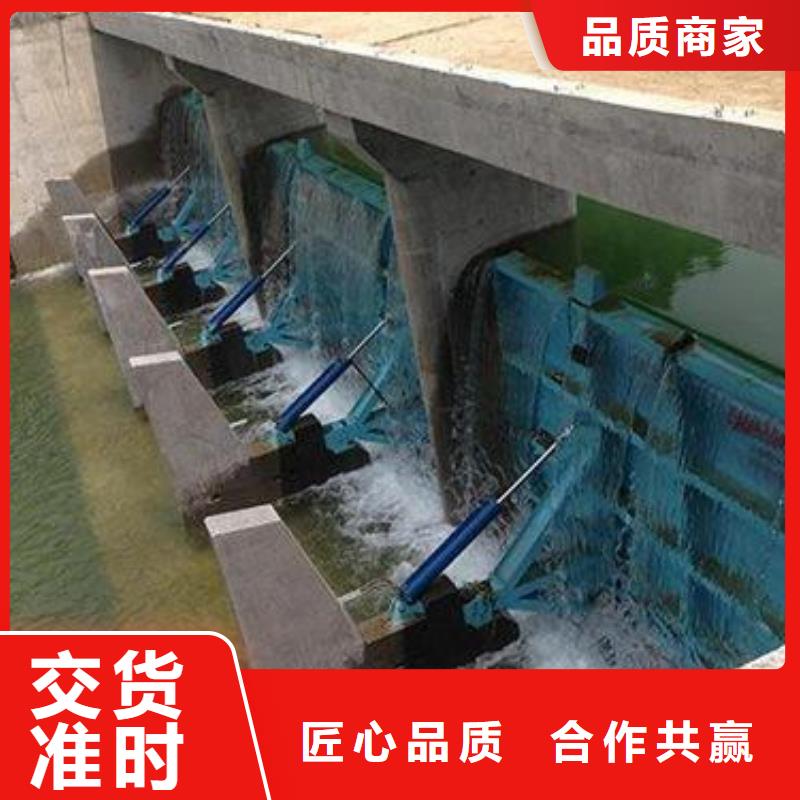 揭阳同城大跨度旋转钢坝闸优质供应商